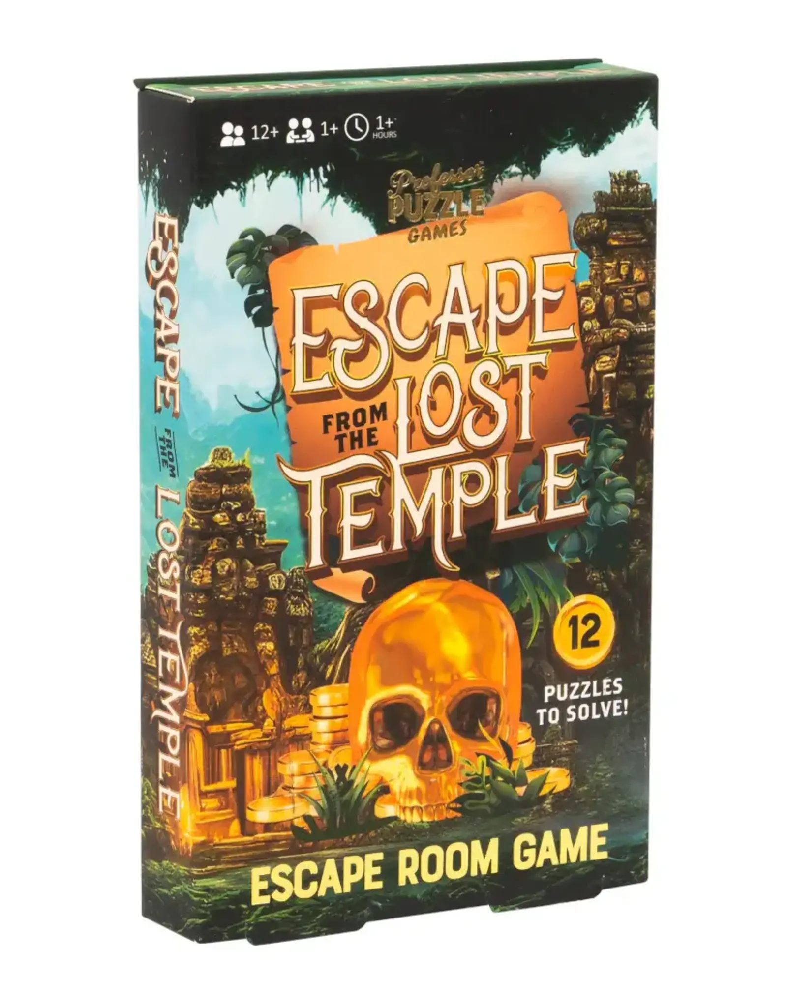 Professor Puzzle Escape from the Lost Temple Game