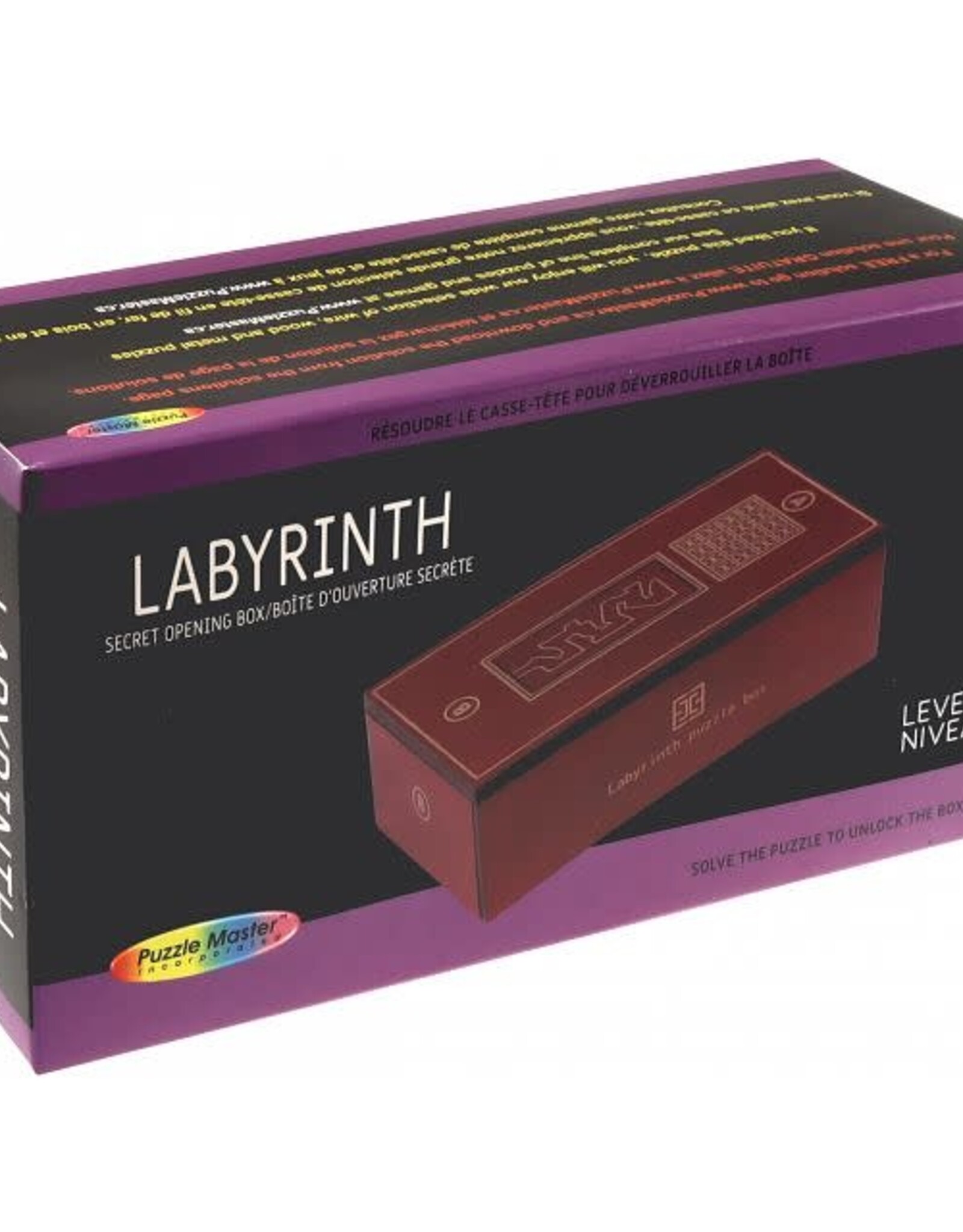 Puzzle Master Labyrinth - Difficulty 7/10