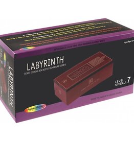 Puzzle Master Labyrinth - Difficulty 7/10