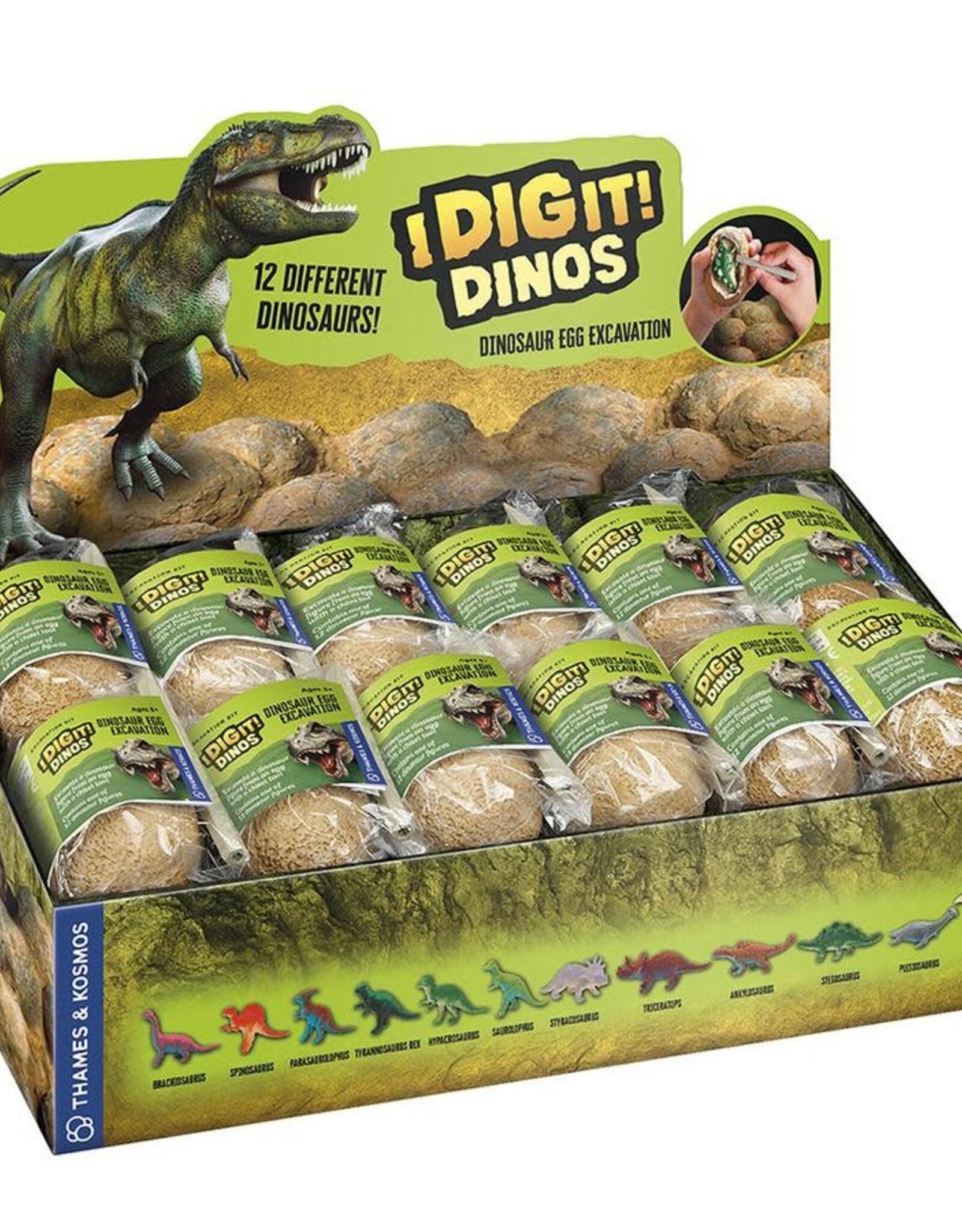 Thames & Kosmos I Dig it! Dinos - Dino Egg (24-pc Display)