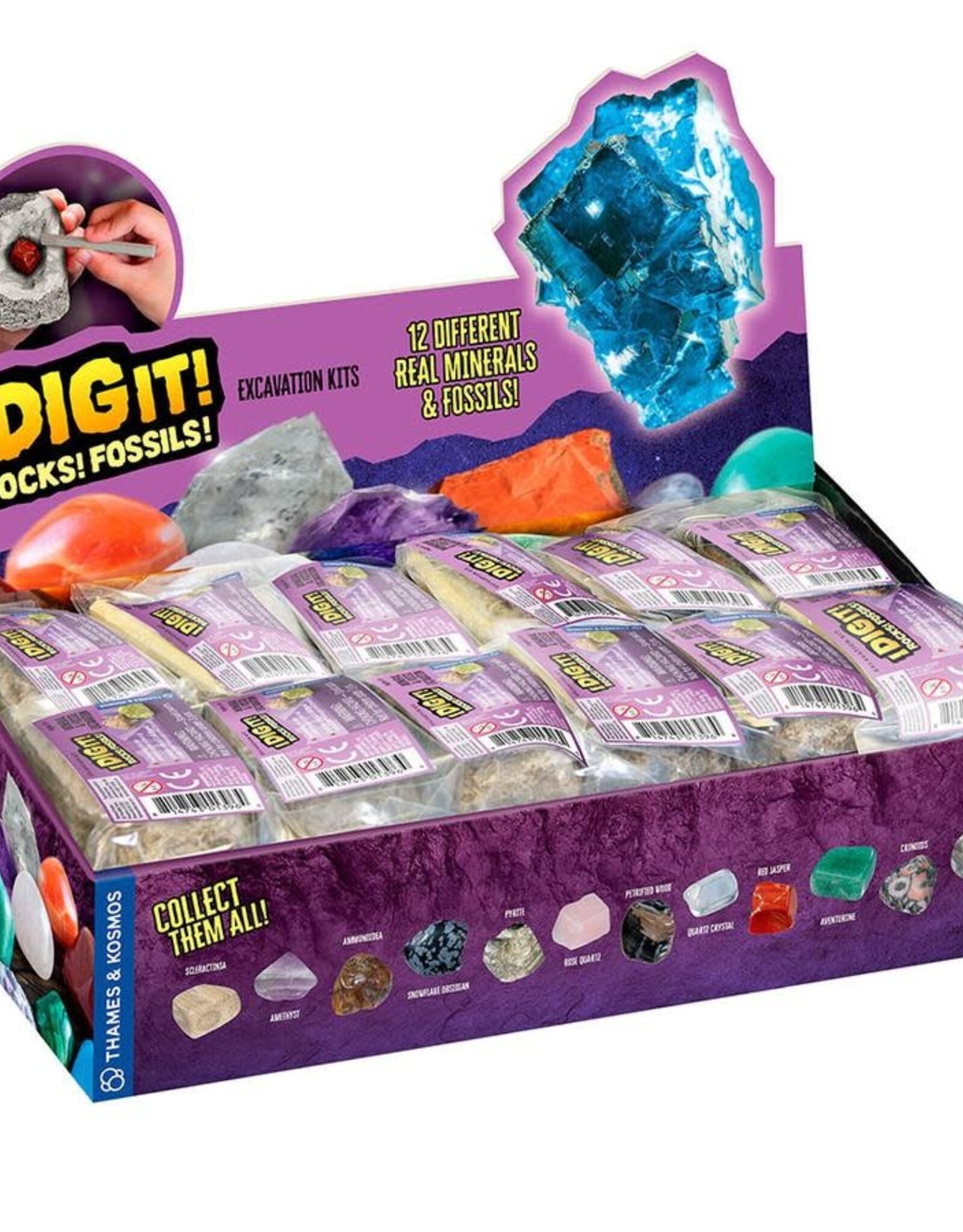 Thames & Kosmos I Dig It! Rocks & Fossils - Mini Excavation (24-pc Display)