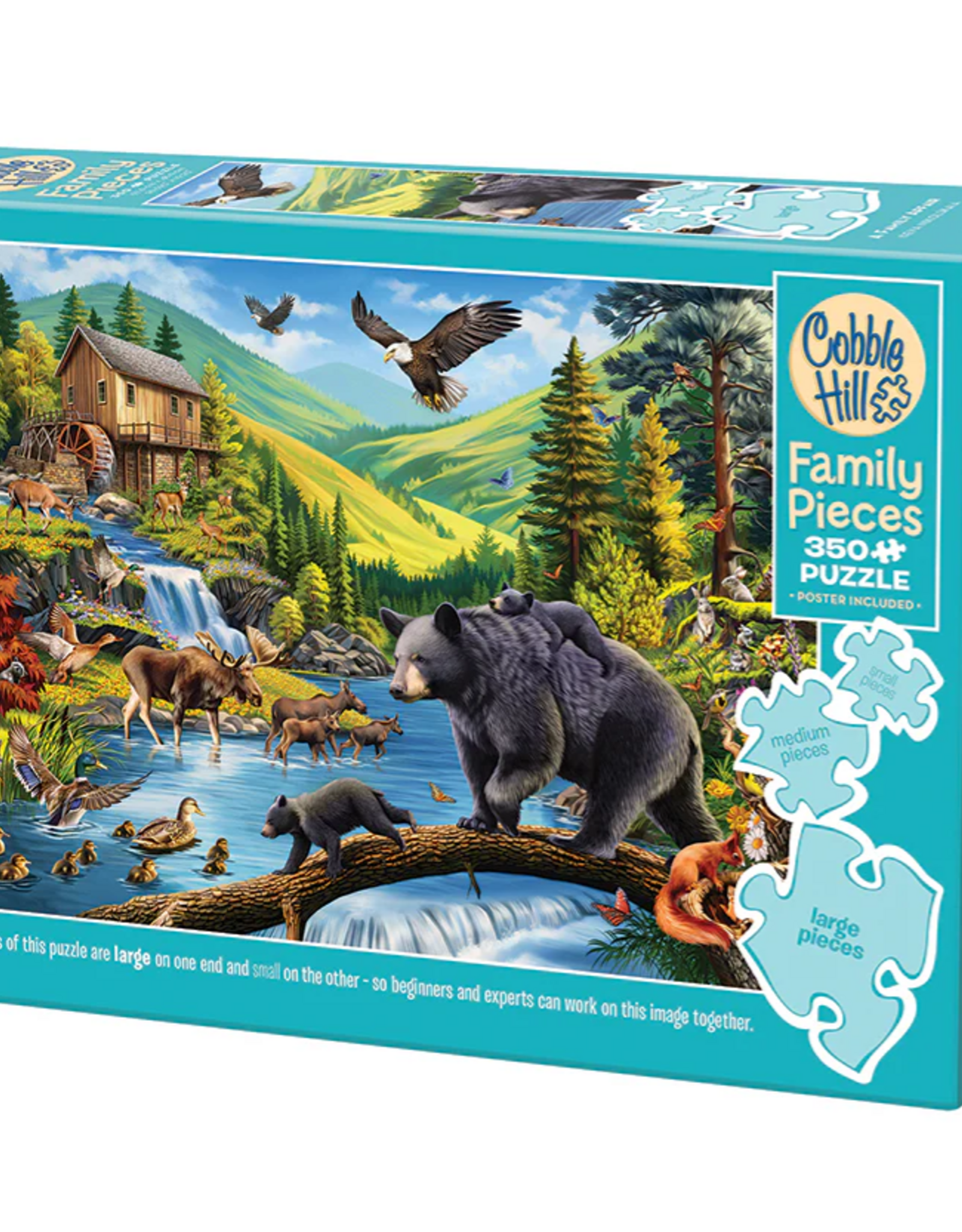 Cobble Hill A Family Affair (Family) 350pc