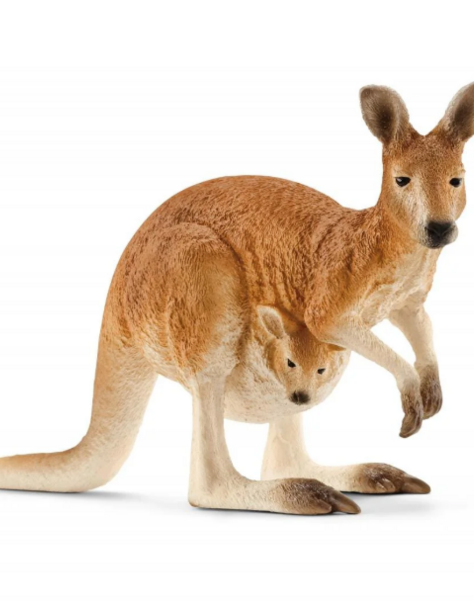 Schleich Kangaroo 14756