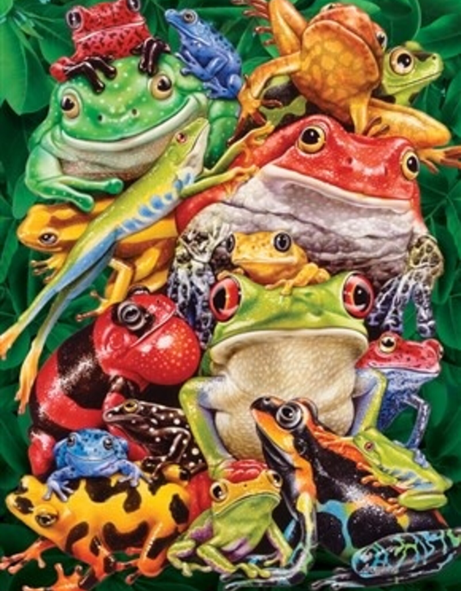 Cobble Hill Frog Business 1000pc CH80218