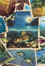 Cobble Hill Fish Pics 1000pc CH80209