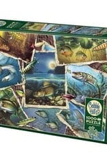 Cobble Hill Fish Pics 1000pc CH80209