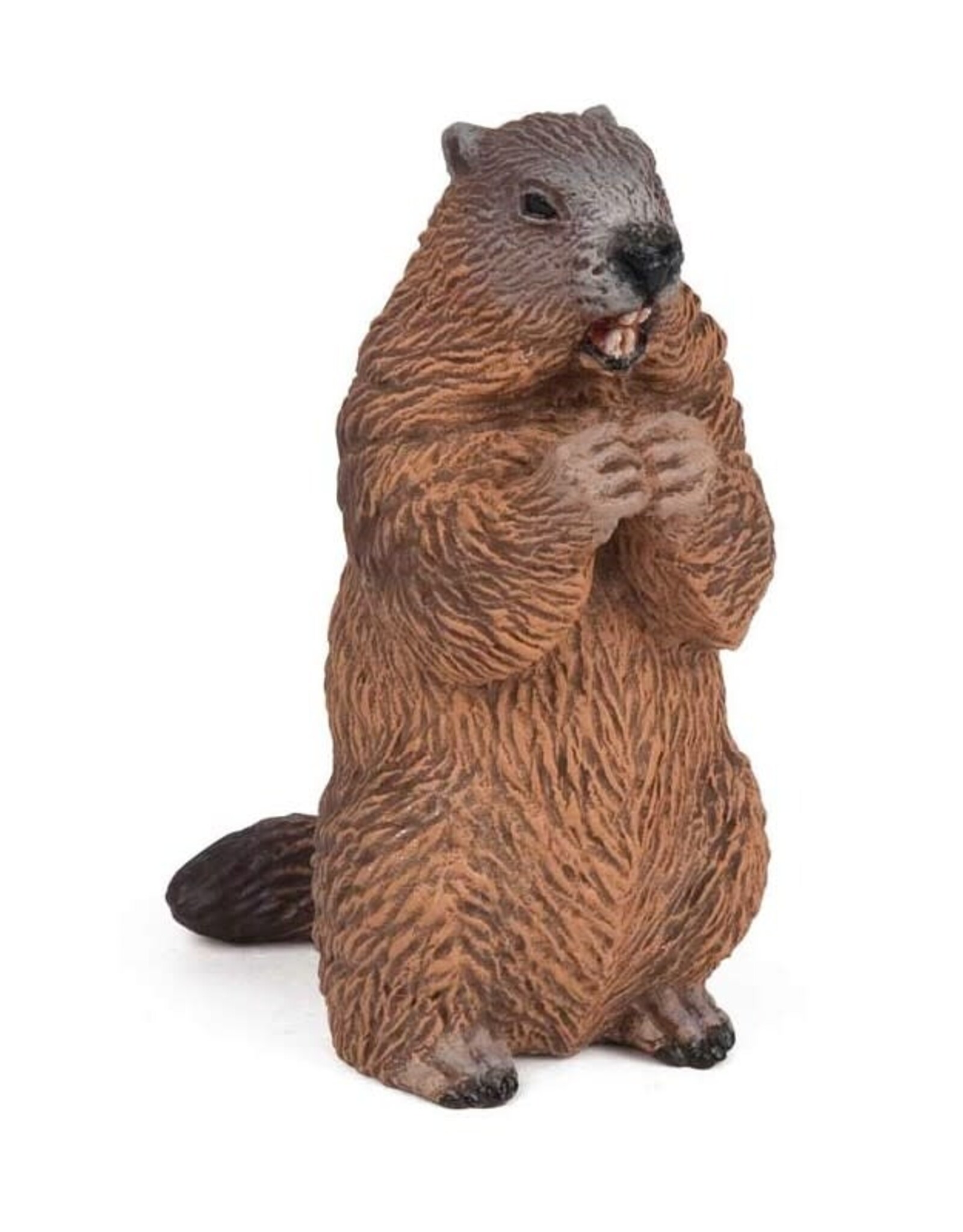 Papo Papo Marmot