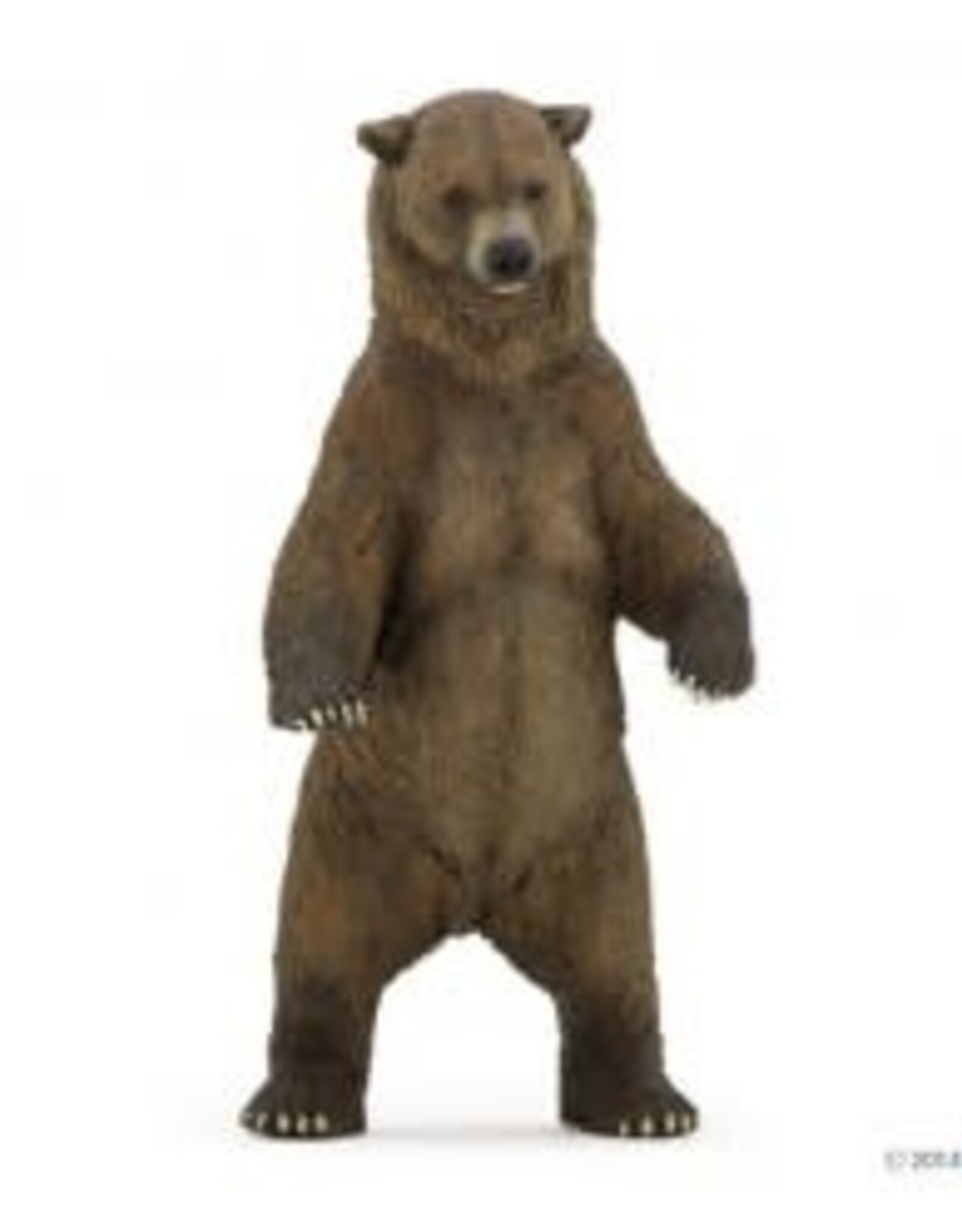 Papo Papo Grizzly Bear