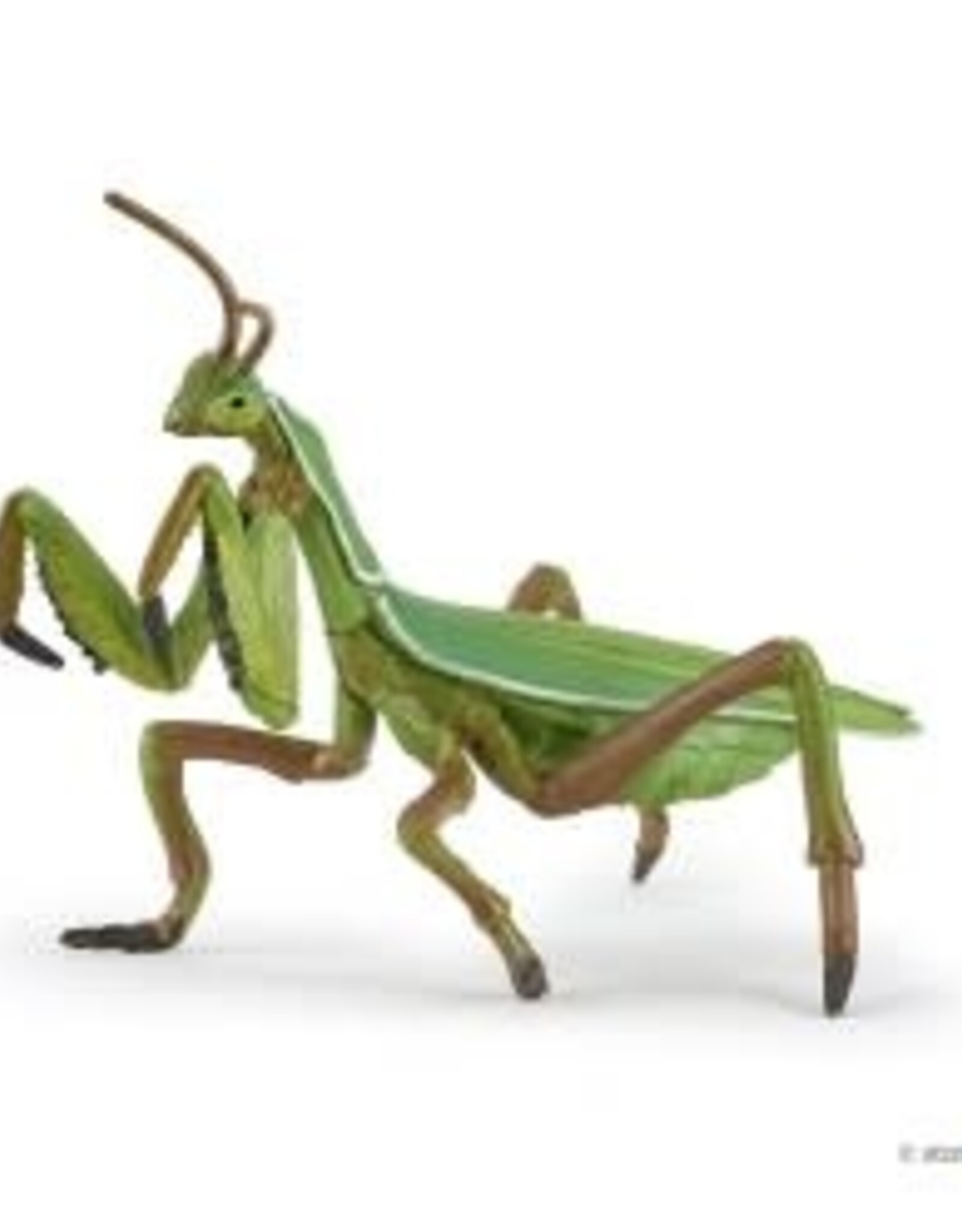 Papo Papo Praying Mantis