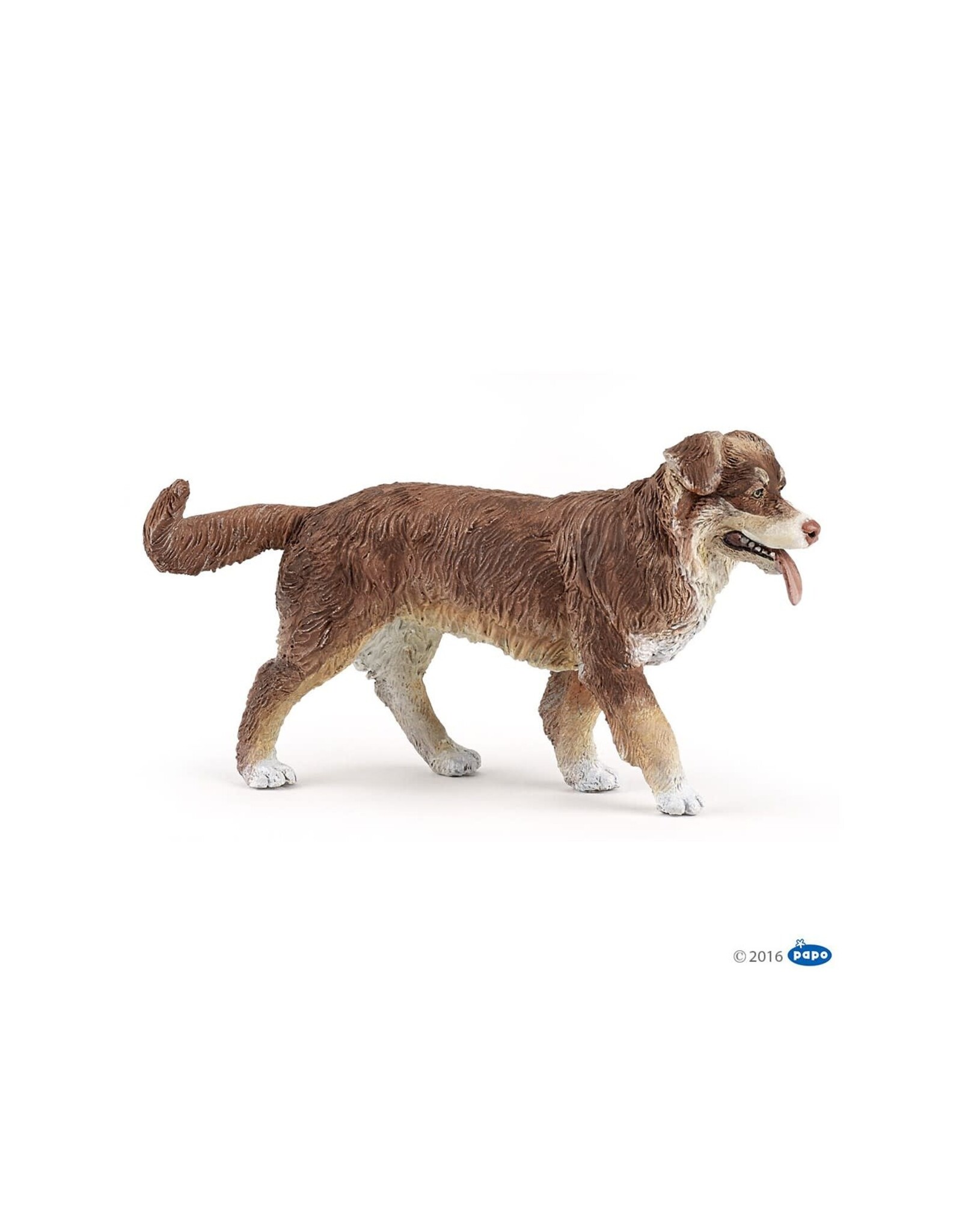 Papo Papo Australian Shepherd