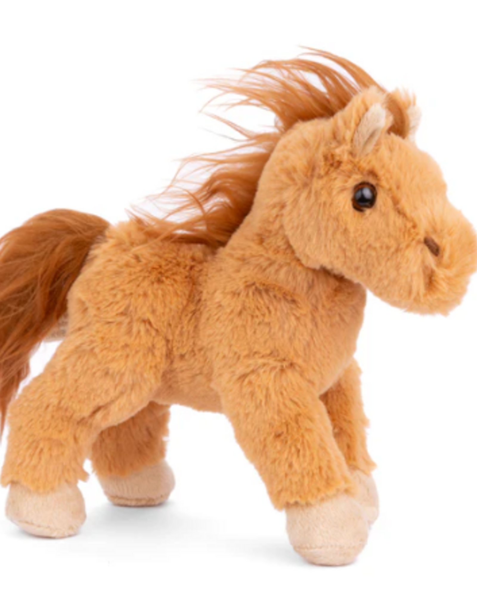 Bukowski Baby Chocolate