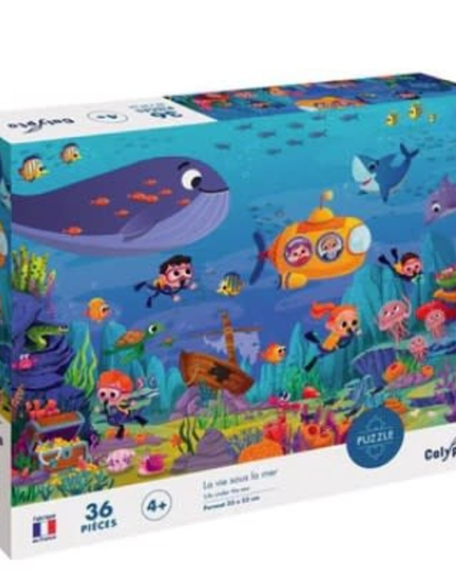 Calypto LIFE UNDER THE SEA