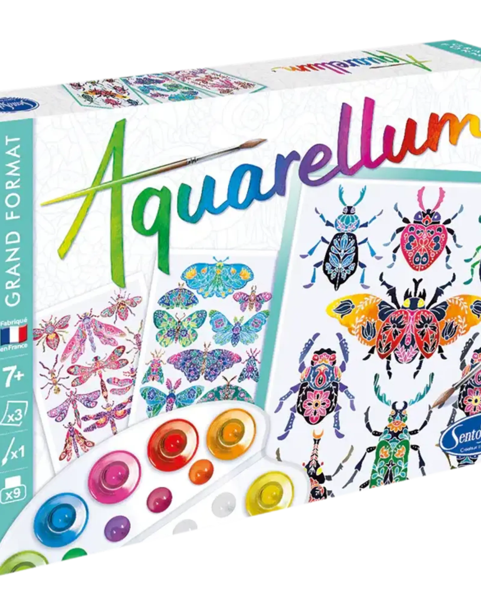 Sento Sphere AQUARELLUM - INSECTARIUM