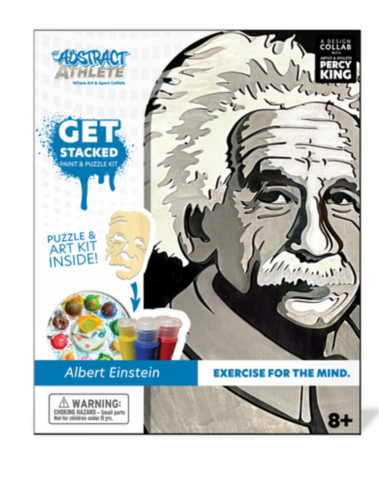 BeginAgain Get Stacked Paint & Puzzle Kit - EINSTEIN