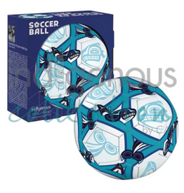 Indigenous Collection by CAP Scoccer Ball - CHANTELLE TRAINOR-MATTIES