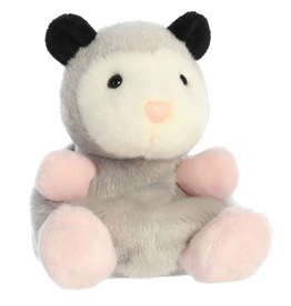 Aurora PALM PALS-Sherri Opossum