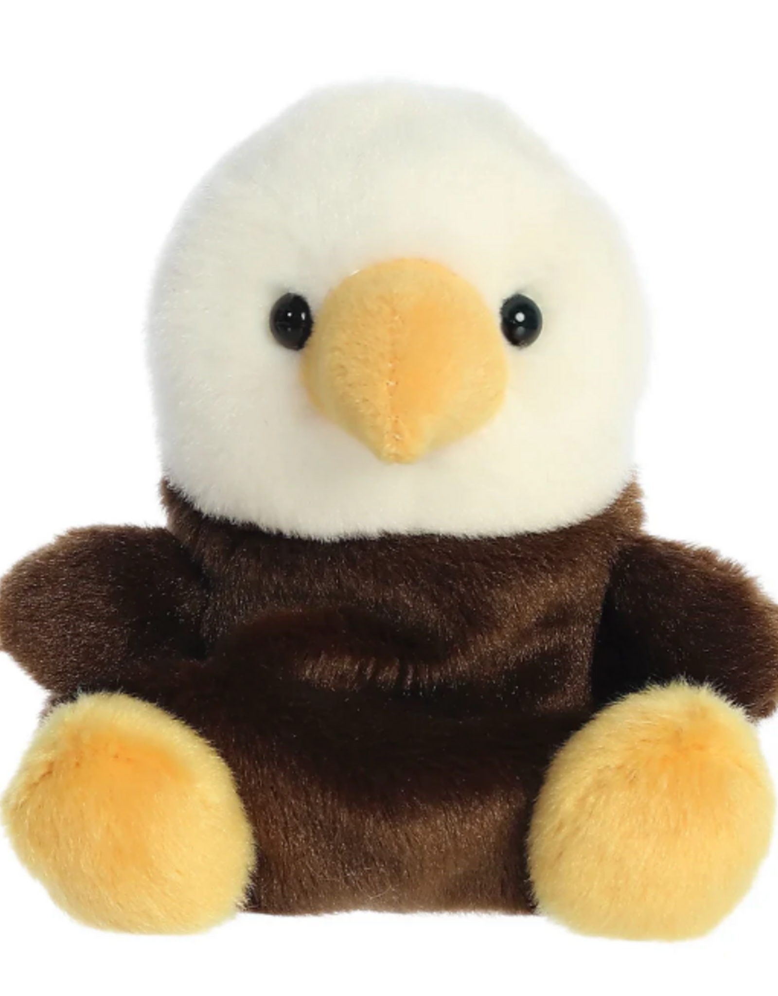 Aurora PALM PALS-Murphy Bald Eagle