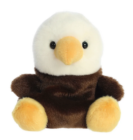 Aurora PALM PALS-Murphy Bald Eagle