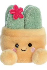 Aurora PALM PALS-Seyla Succulent