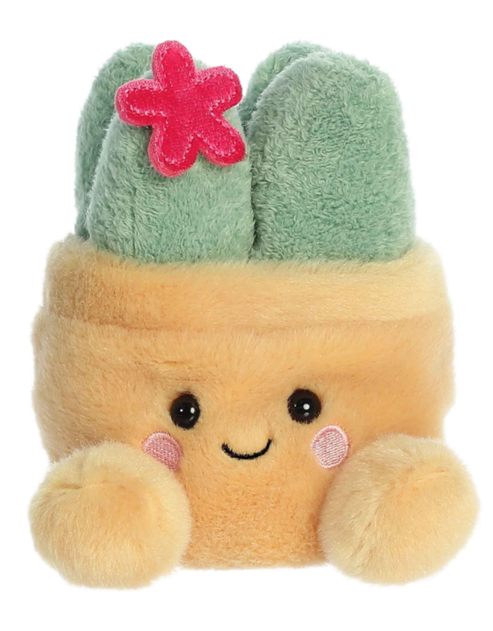 Aurora PALM PALS-Seyla Succulent