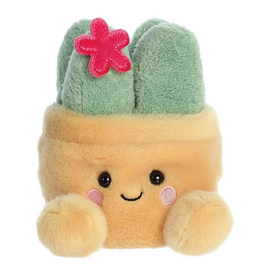 Aurora PALM PALS-Seyla Succulent