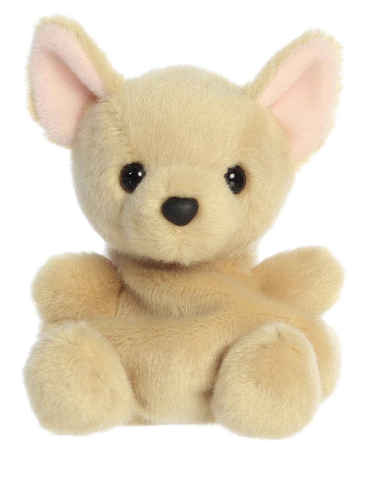 Aurora PALM PALS-Cookie Chihuahua