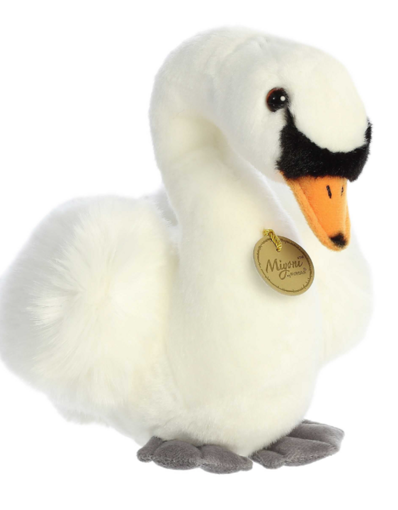 Aurora Miyoni-Swan