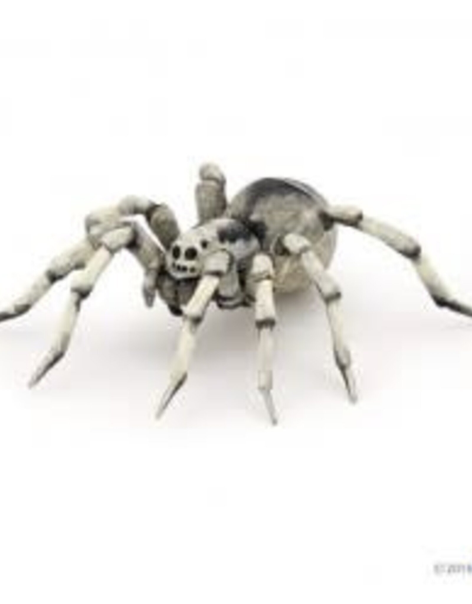 Papo Papo Tarantula
