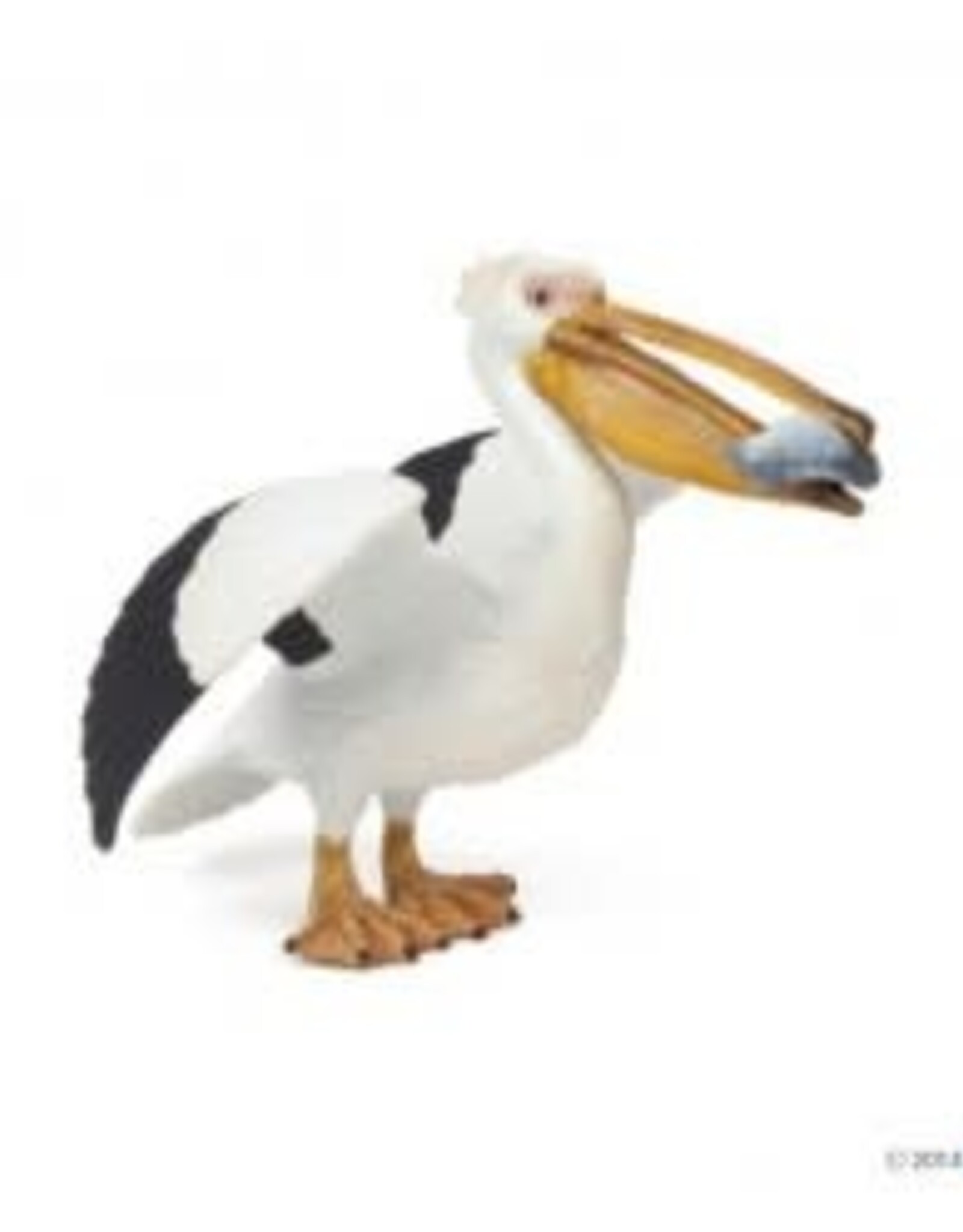 Papo Papo Pelican