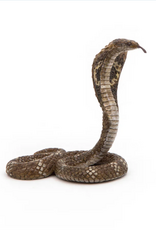 Papo Papo King Cobra