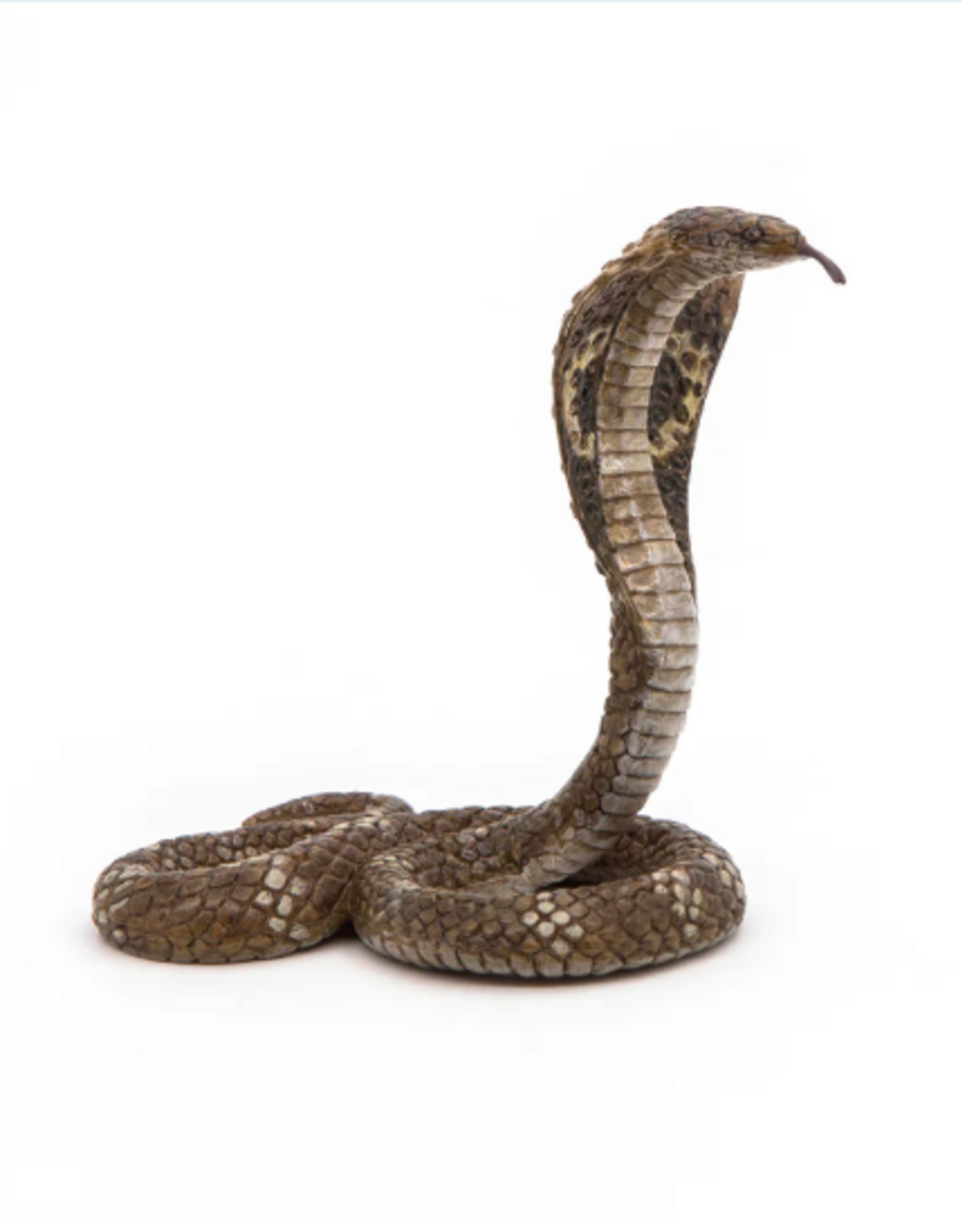 Papo Papo King Cobra