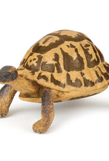 Papo Papo Hermann's Tortoise