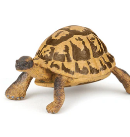 Papo Papo Hermann's Tortoise