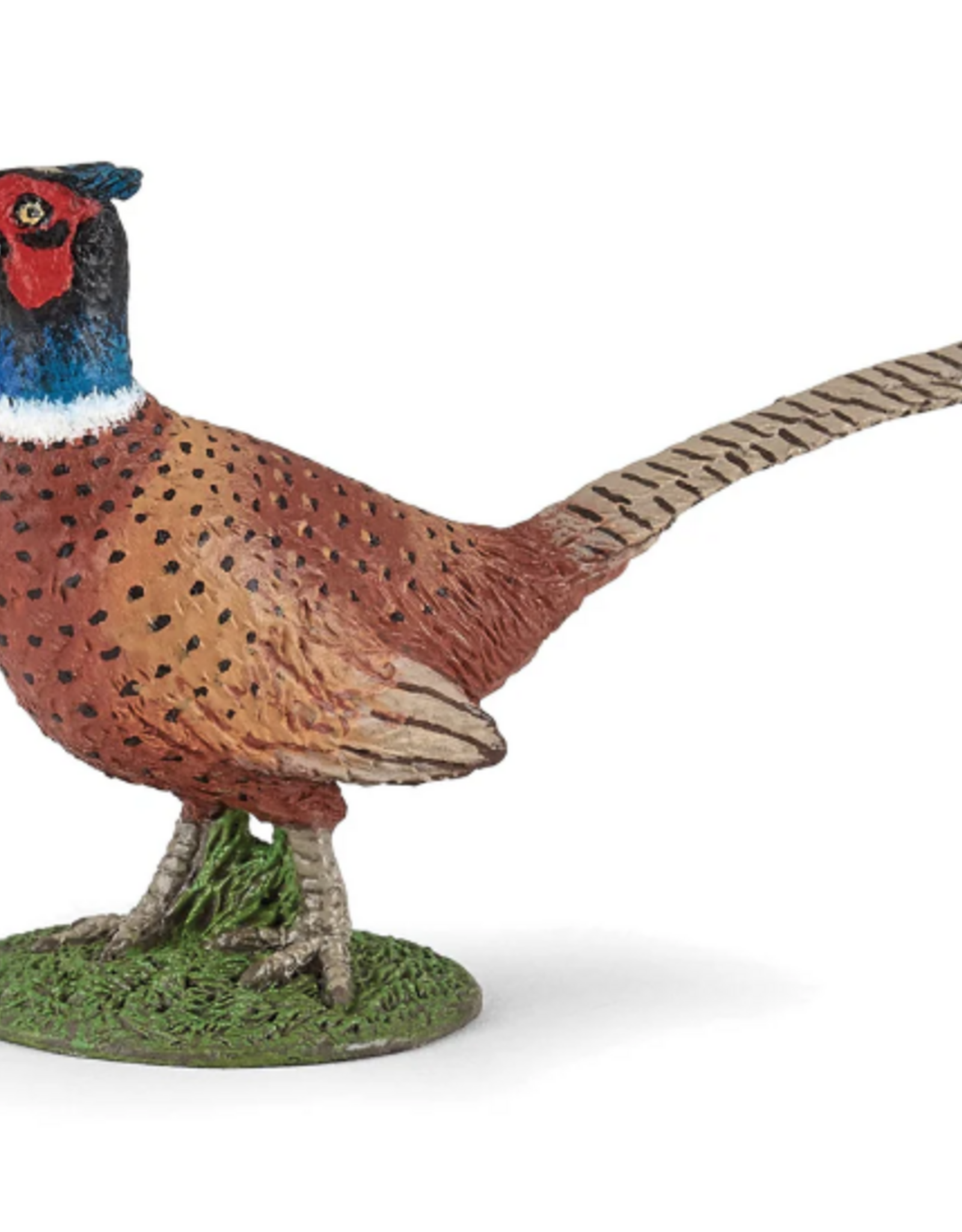 Papo Papo Pheasant