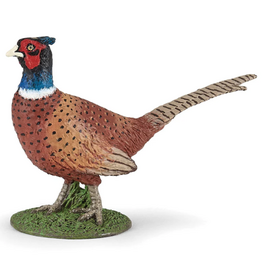 Papo Papo Pheasant