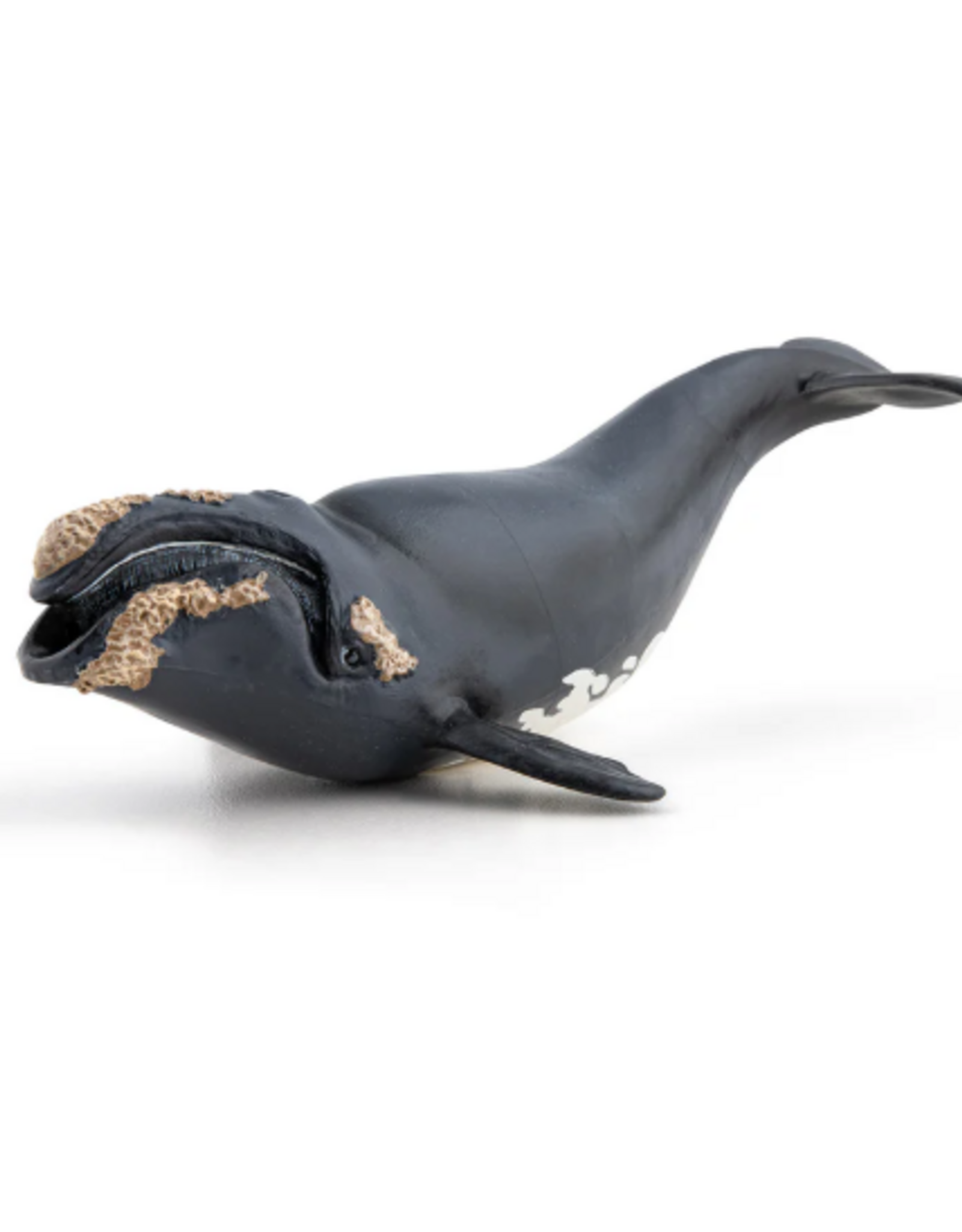 Papo Papo Right Whale