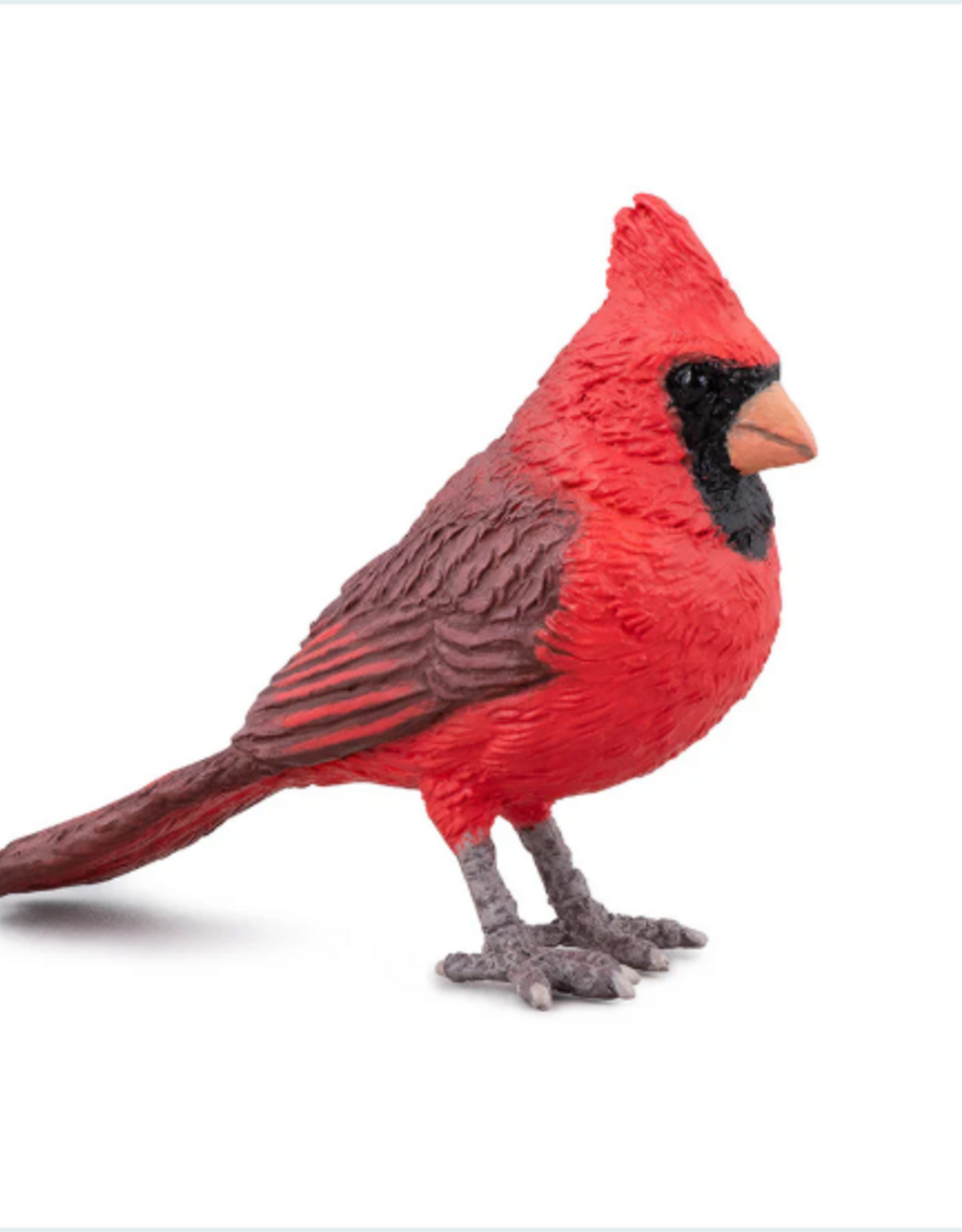 Papo Papo Northern Cardinal