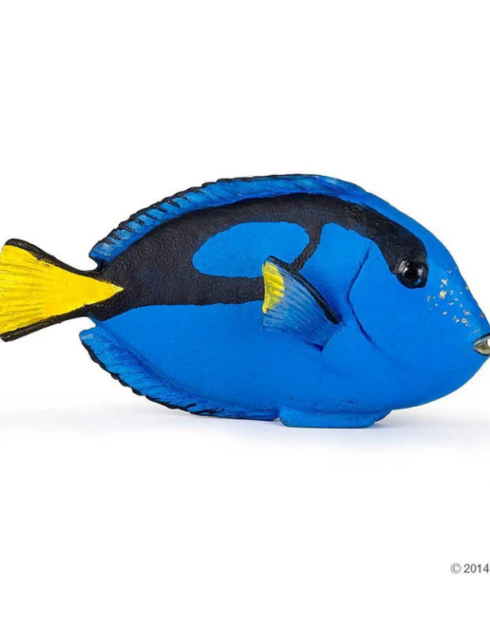 Papo Papo Surgeonfish