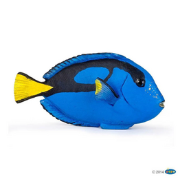 Papo Papo Surgeonfish