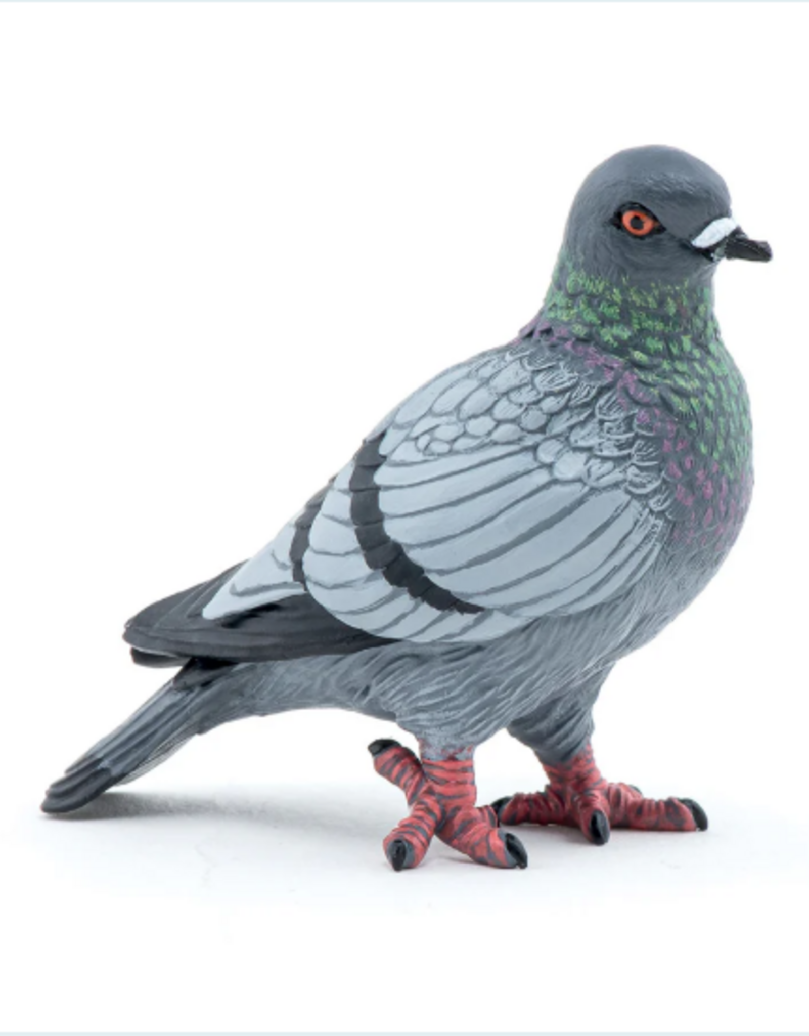 Papo Papo Piegon