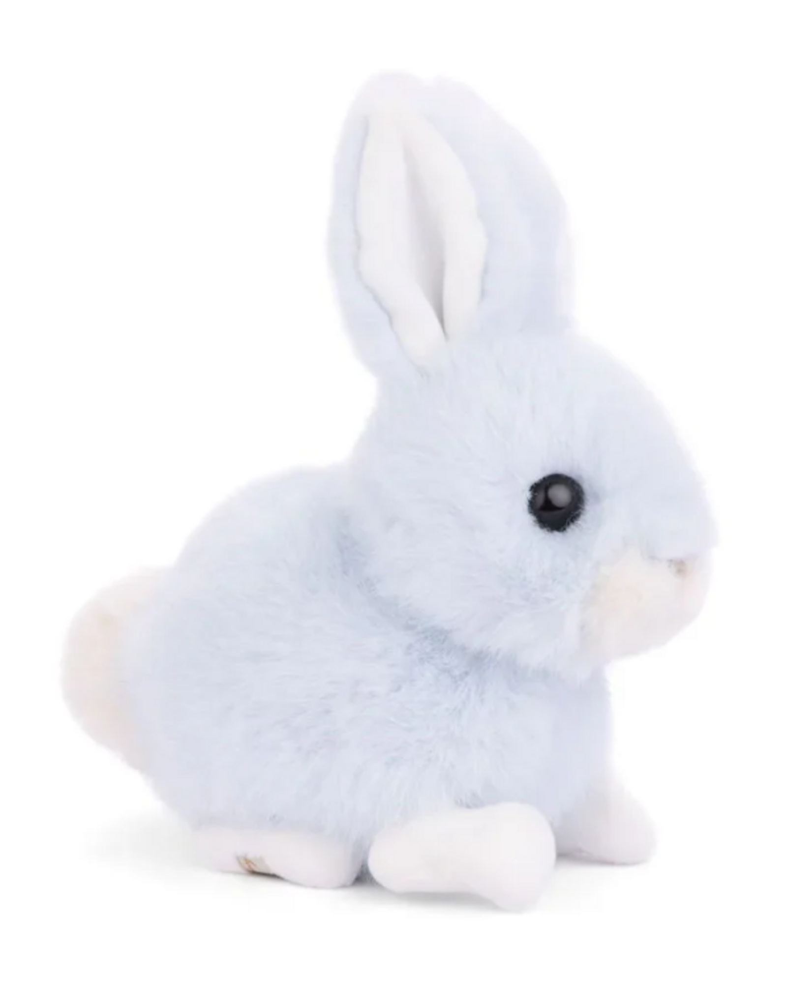 Bukowski Baby Bunny - Heaven Blue