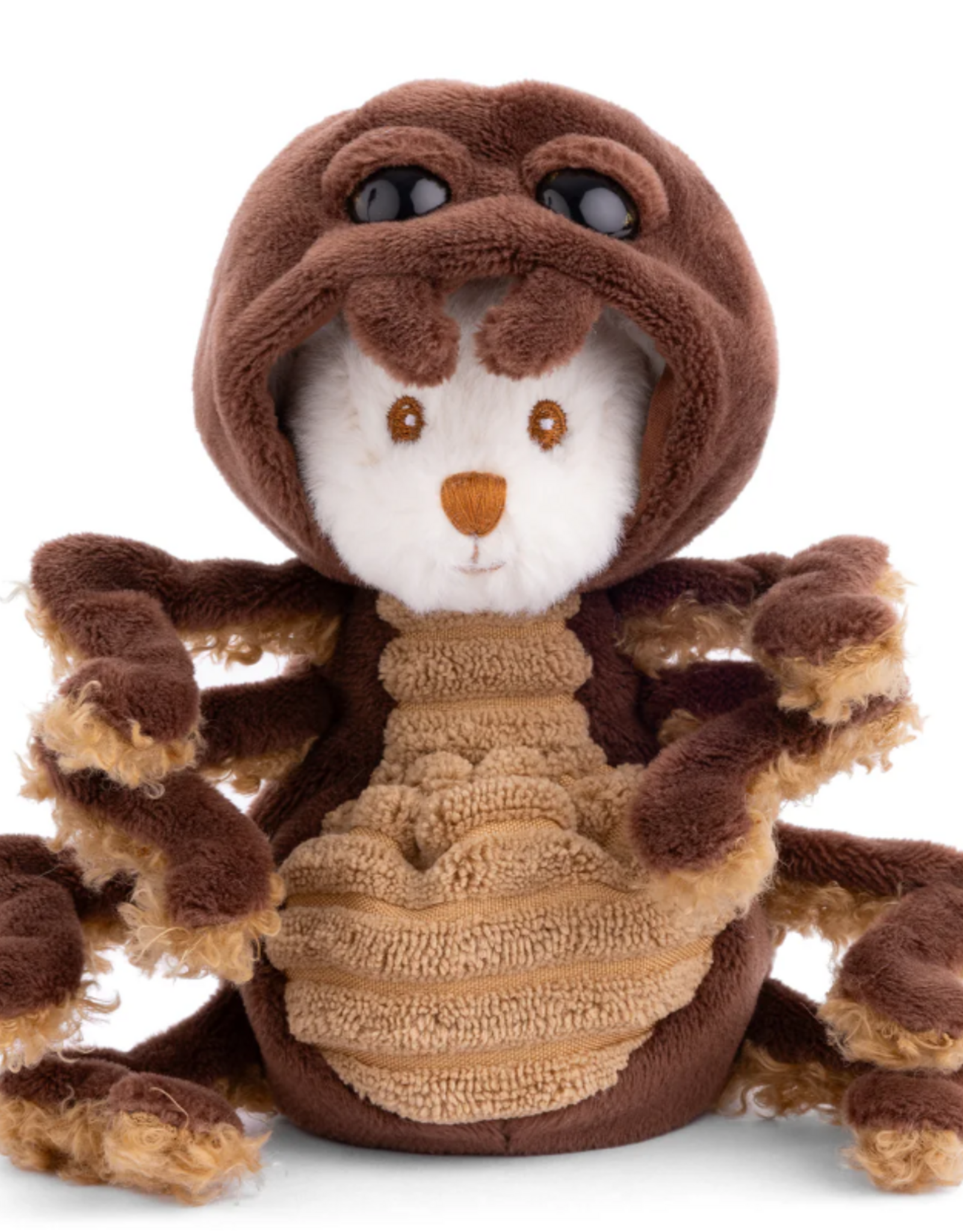 Bukowski Ziggy Spider