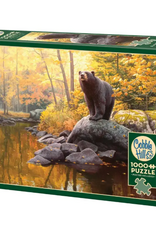 Cobble Hill Black Bear Pond 1000pc