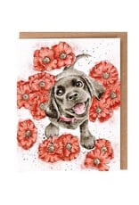 Wrendale Design Cards-Wildflower Card Poppy Love Dog