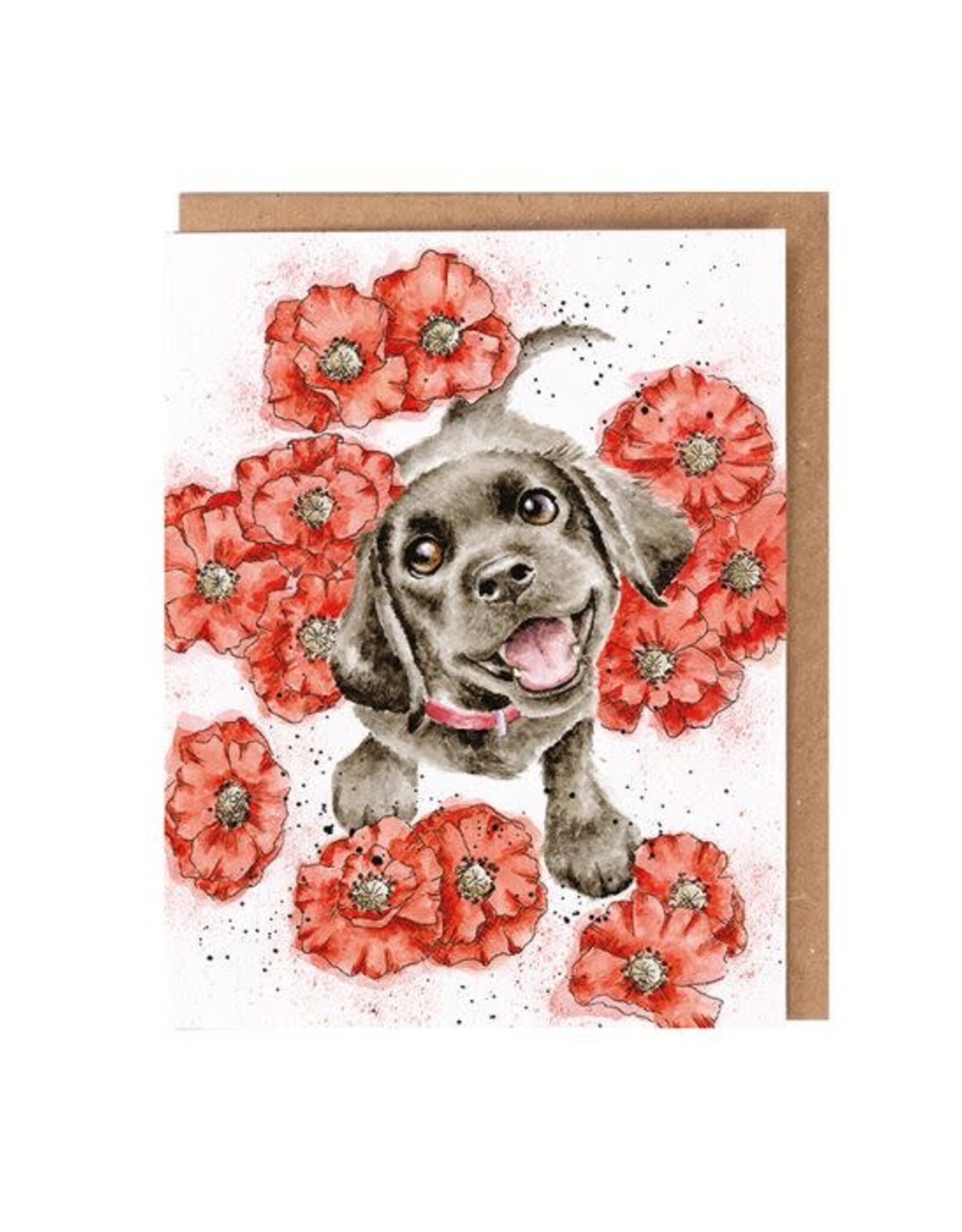 Wrendale Design Card - Wildflower Card Poppy Love Dog