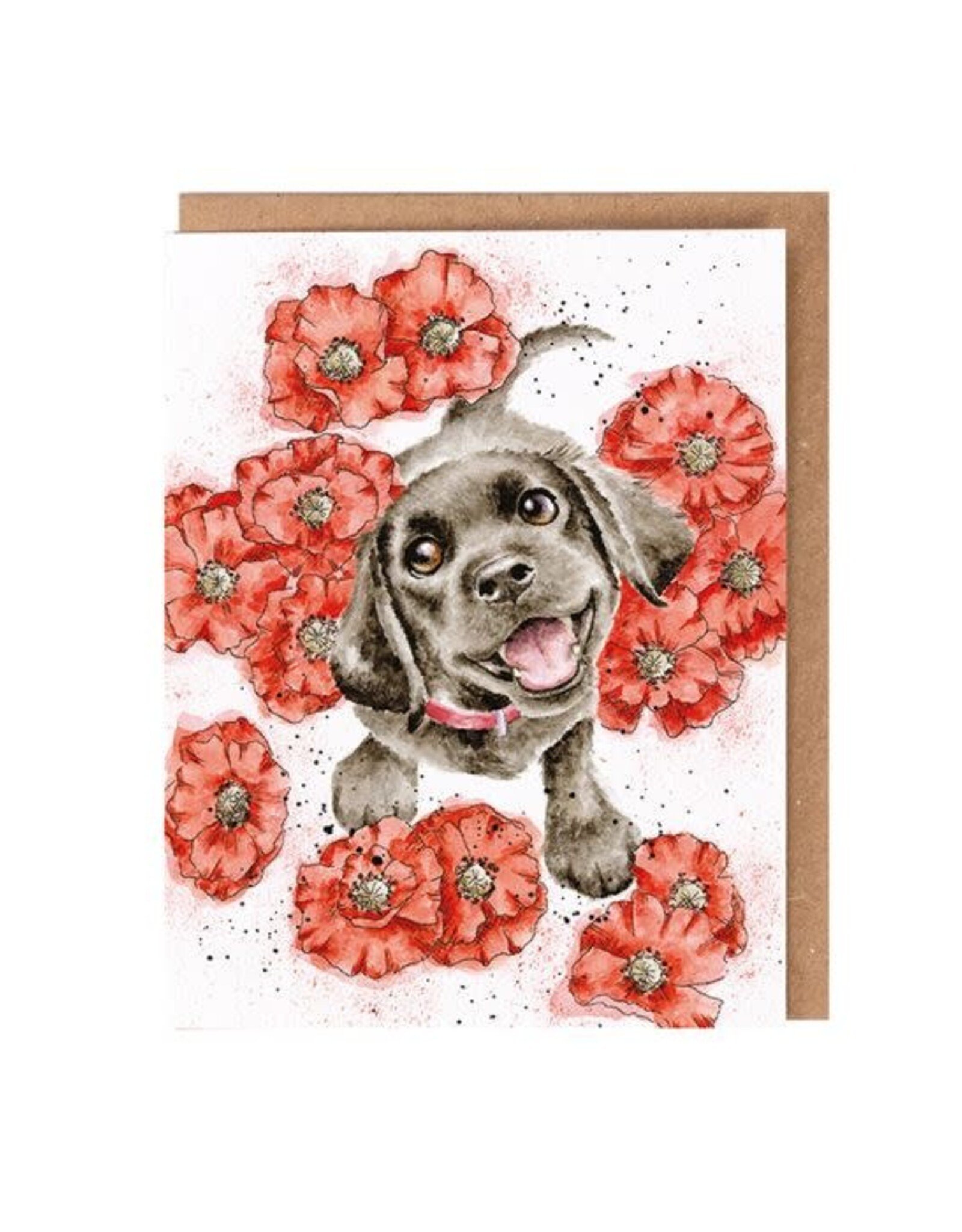 Wrendale Design Cards-Wildflower Card Poppy Love Dog