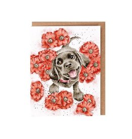 Wrendale Design Card - Wildflower Card Poppy Love Dog