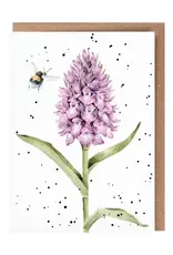 Wrendale Design Card - Marsh Orchid