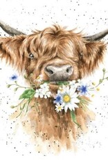 Wrendale Design Card - Daisy Coo Single Card