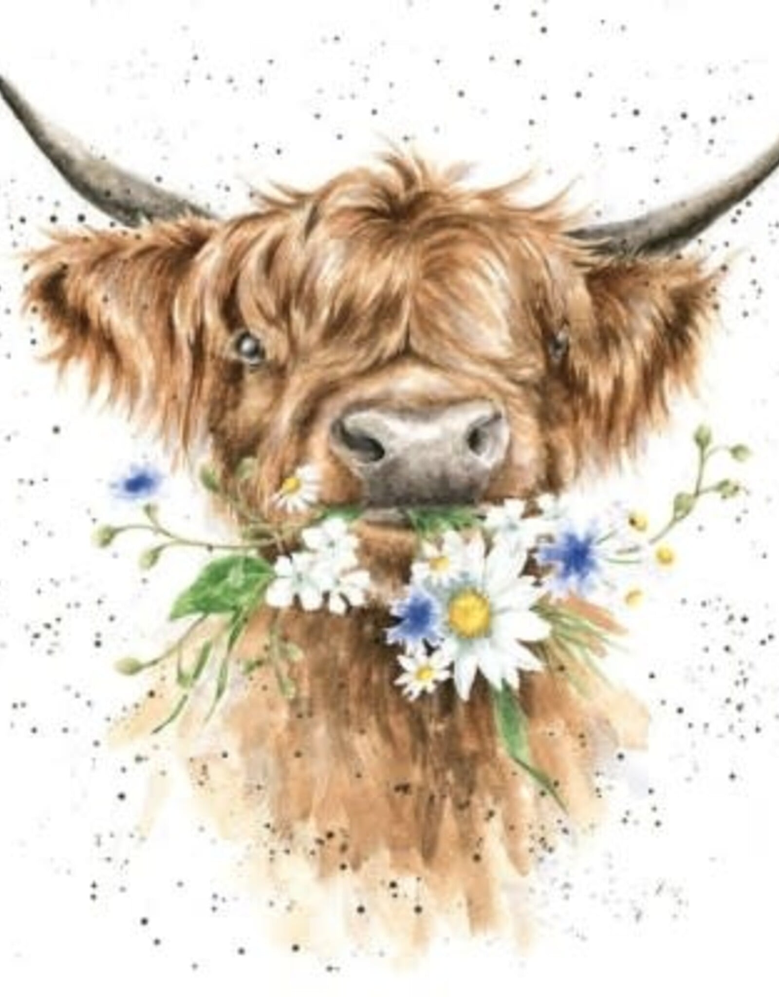 Wrendale Design Cards-Daisy Coo Single Card